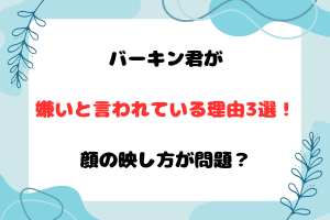 バーキン君が嫌いと言われている理由3選！顔の映し方が問題？