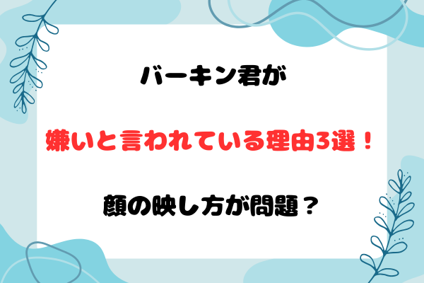 バーキン君が嫌いと言われている理由3選！顔の映し方が問題？